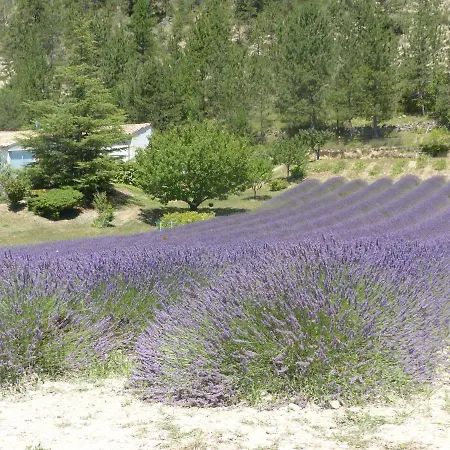 Domaine Du Murier-2